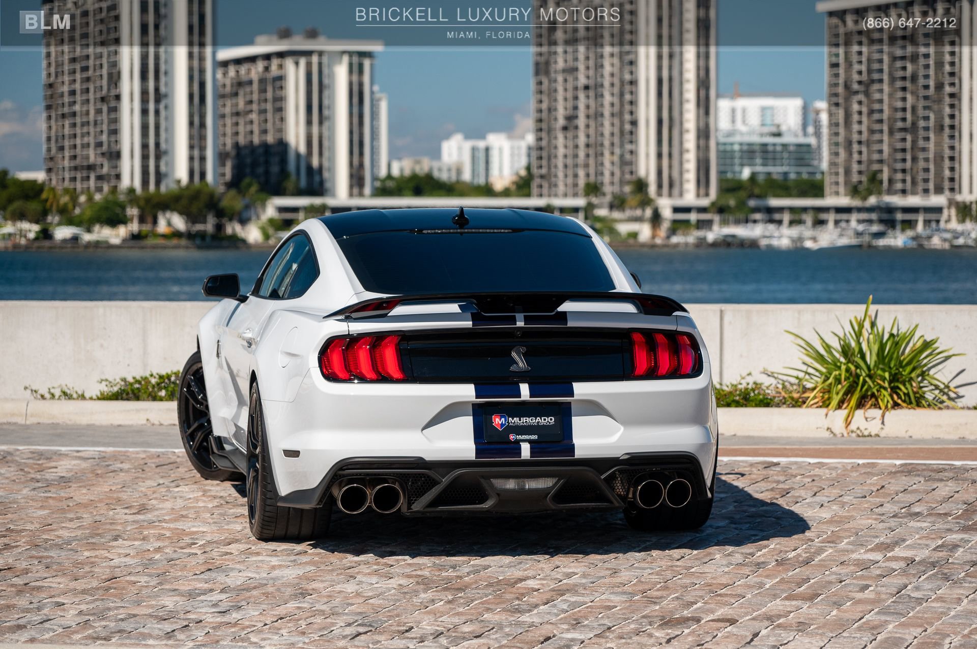 Used 2022 Ford Mustang Shelby GT500 w/ Handling Package image 3