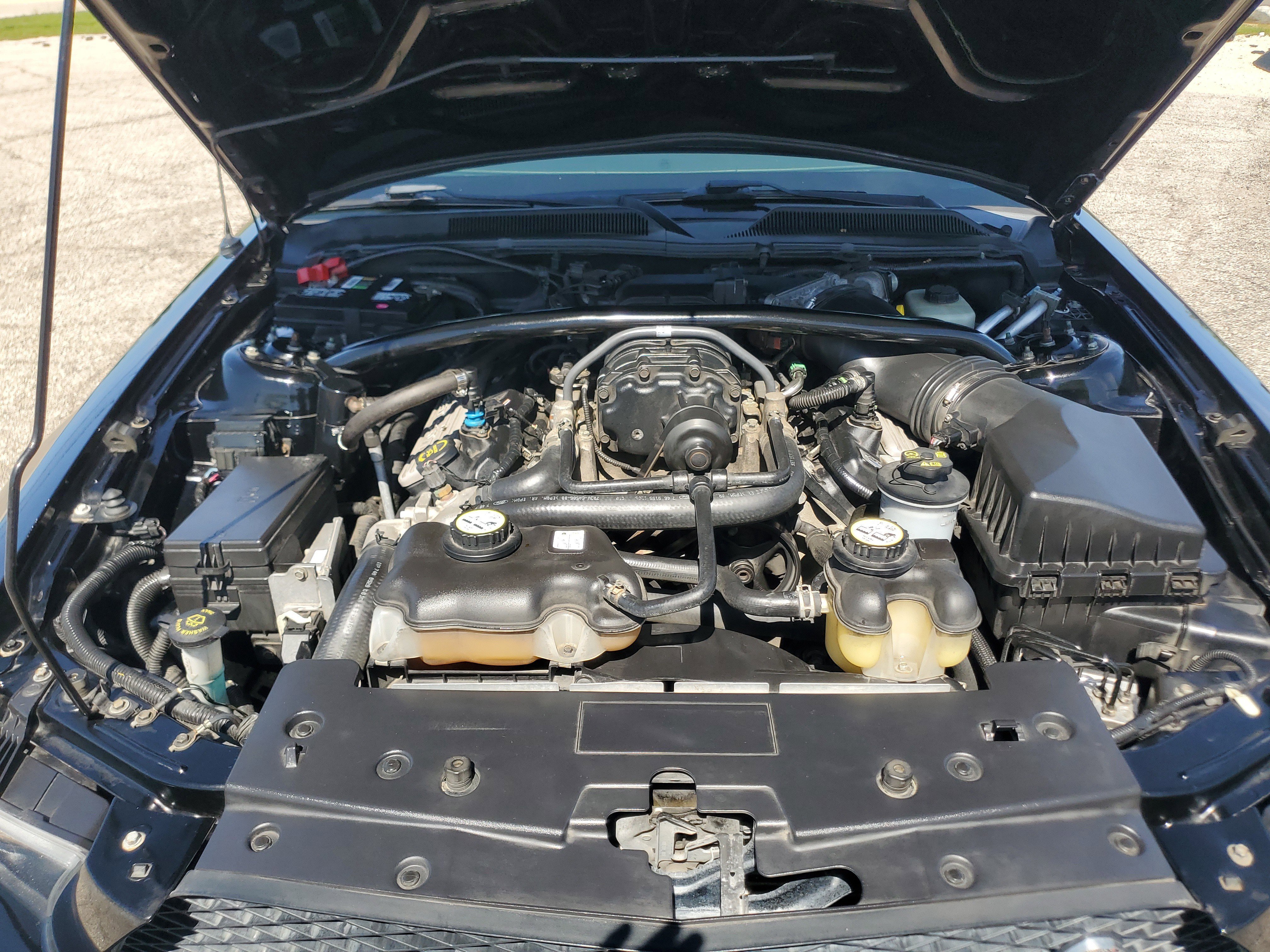 Used 2008 Ford Mustang Shelby GT500 RWD image 8