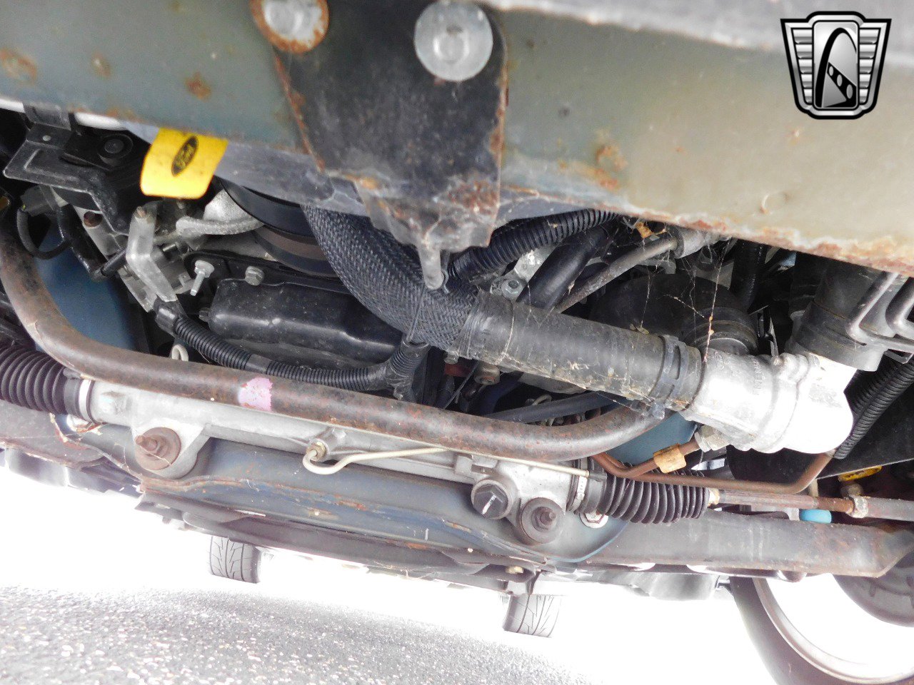 Used 2004 Ford Mustang Cobra image 9