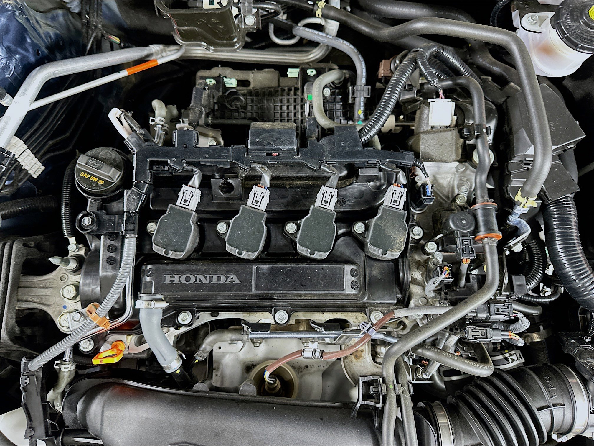 Used 2023 Honda Accord EX image 31