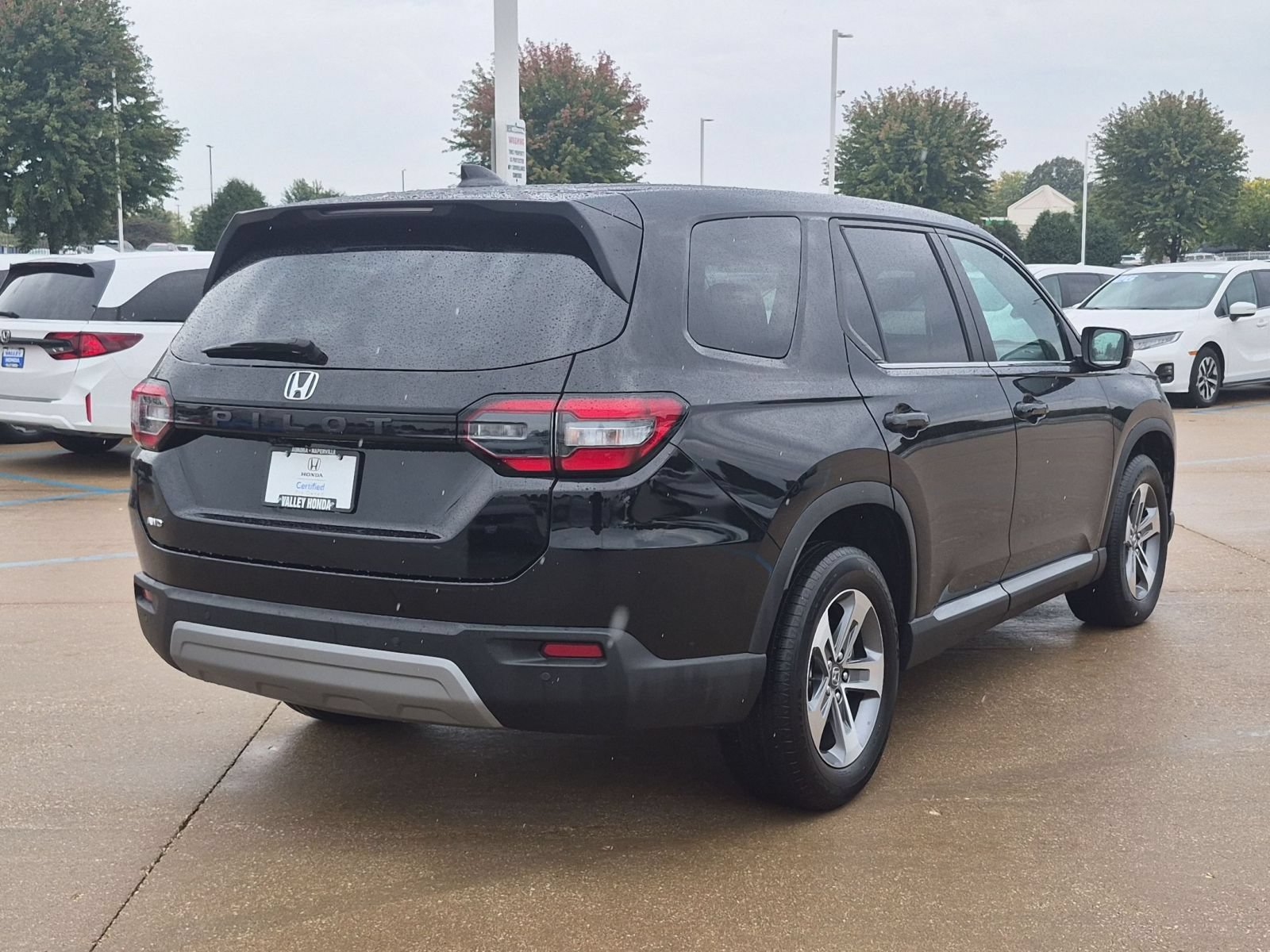 Certified 2025 Honda Pilot EX-L image 6