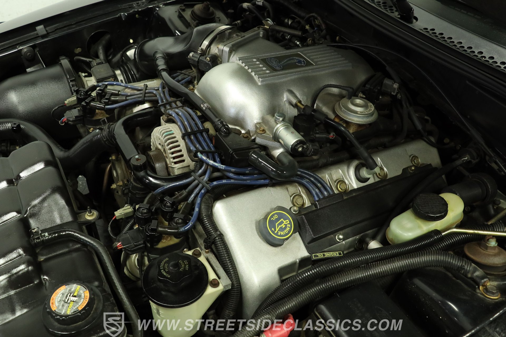 Used 1998 Ford Mustang Cobra RWD image 31