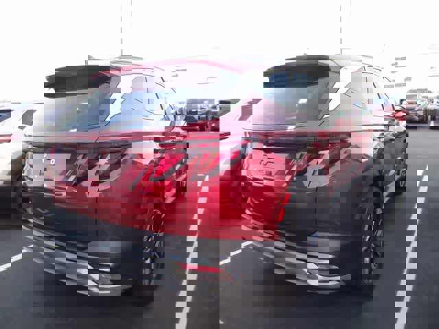 Used 2025 Hyundai Tucson SEL image 6