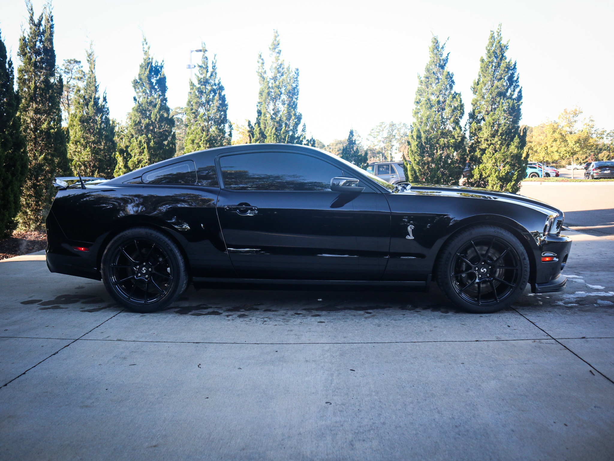 Used 2014 Ford Mustang Shelby GT500 w/ Equipment Group 821A image 12