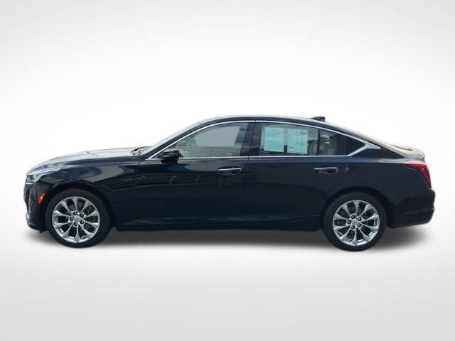 Used 2022 Cadillac CT5 Premium Luxury image 4
