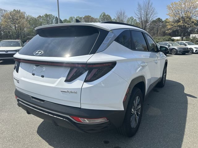 Used 2023 Hyundai Tucson Blue image 5