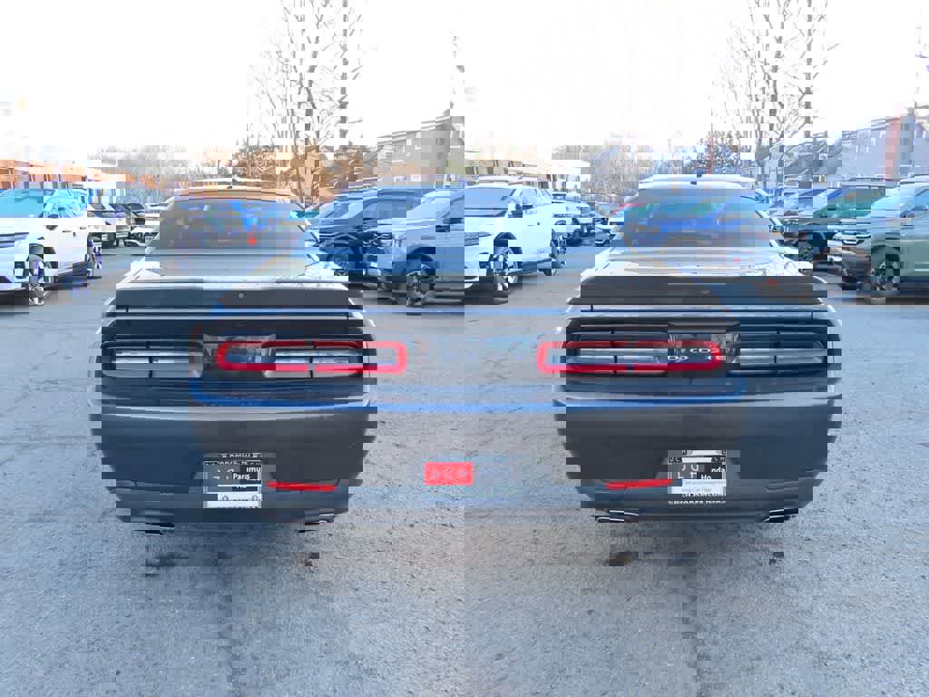 Used 2019 Dodge Challenger SXT image 5