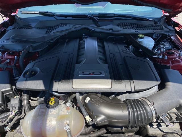Used 2019 Ford Mustang GT Premium w/ Equipment Group 401A RWD image 18