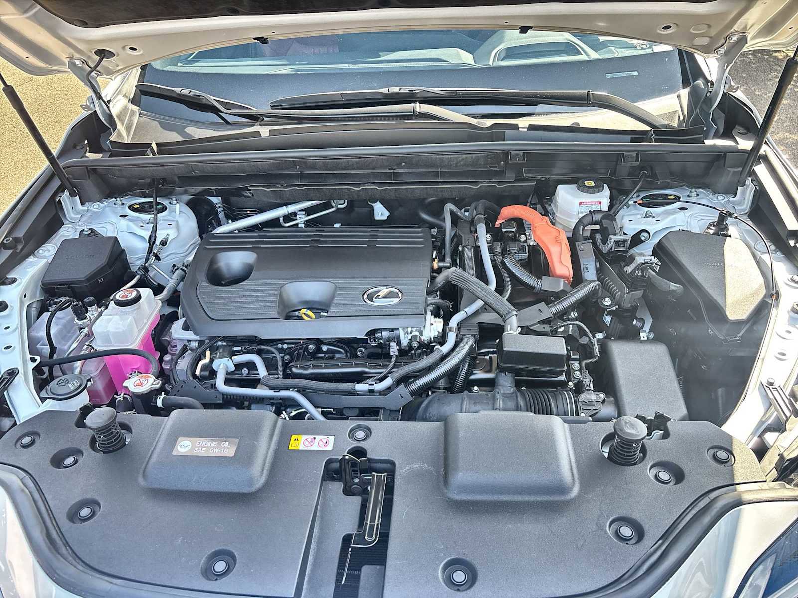 Used 2025 Lexus NX 350h AWD w/ Cold Area Package image 13