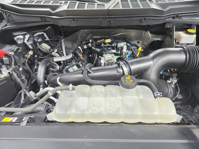 Used 2021 Ford F150 XL w/ STX Appearance Package RWD image 17