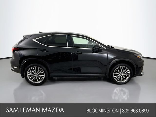 Used 2025 Lexus NX 350 AWD w/ Premium Package image 8