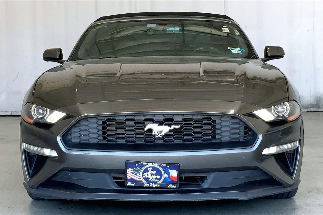Used 2019 Ford Mustang Premium RWD image 3