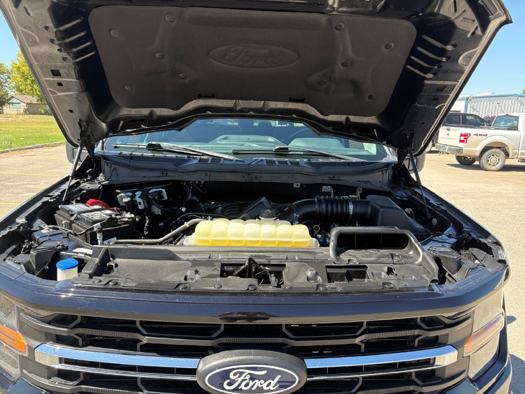 Certified 2025 Ford F150 XLT w/ Equipment Group 301A Standard AWD/4WD image 24