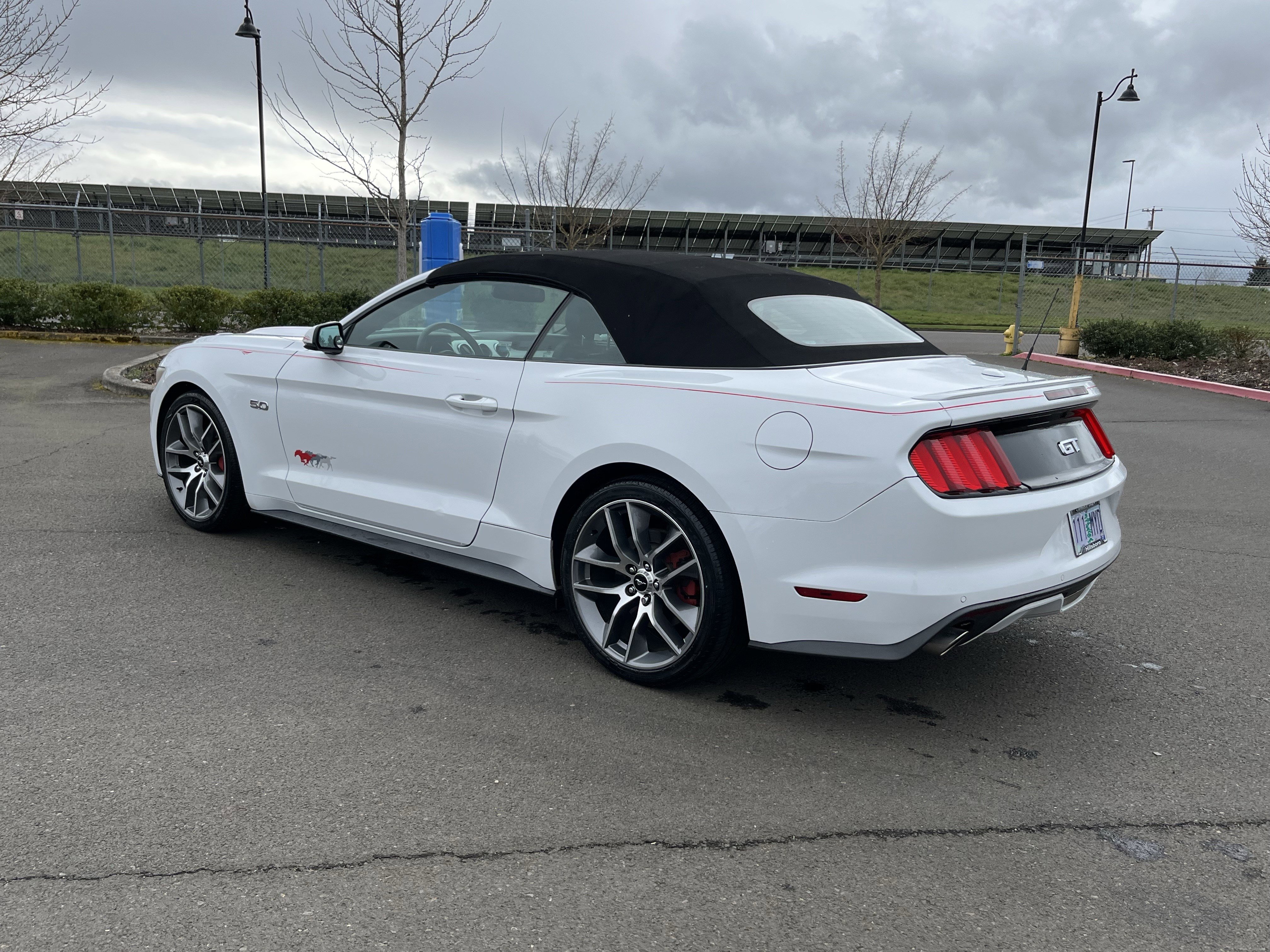 Used 2015 Ford Mustang GT Premium w/ Equipment Group 401A image 3