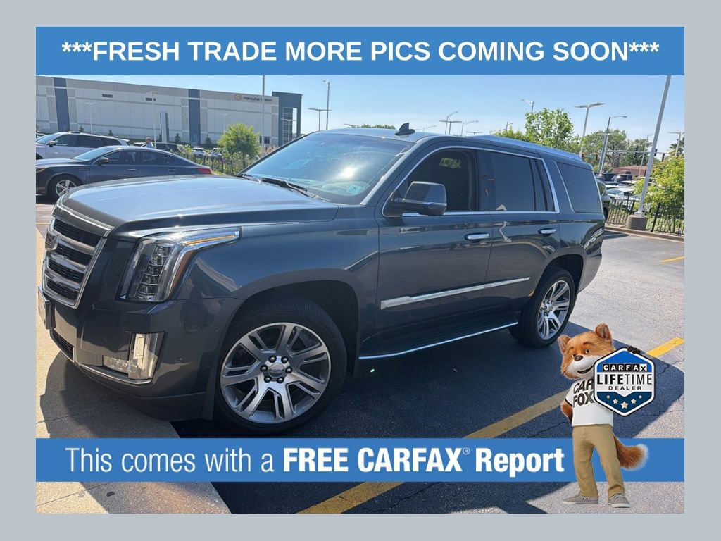 Used 2019 Cadillac Escalade Luxury AWD/4WD image 1