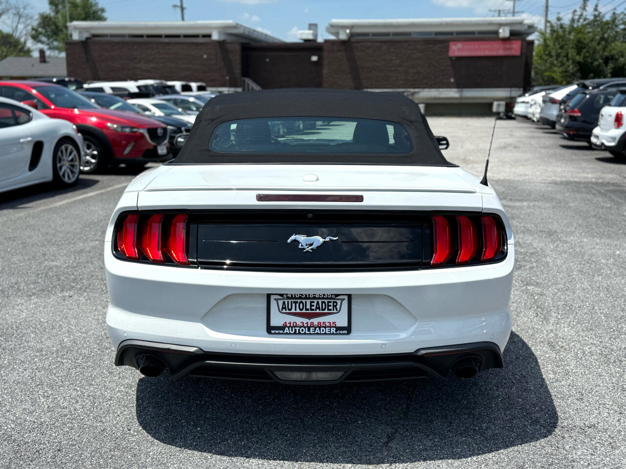 Used 2019 Ford Mustang Premium image 6