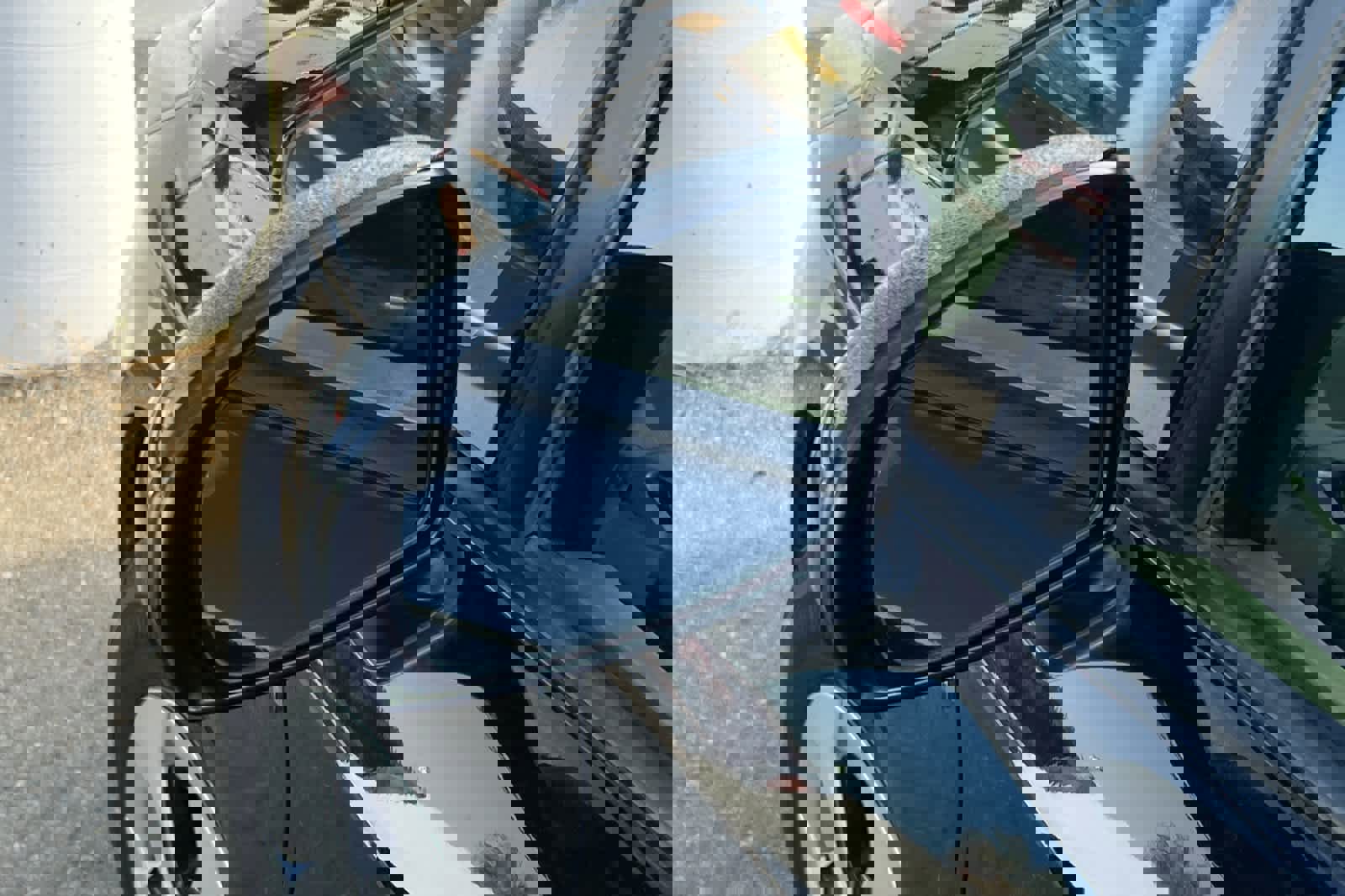 Used 2013 Toyota Prius Three FWD image 8