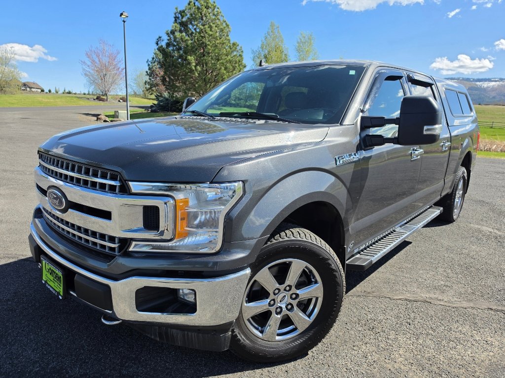 Used 2019 Ford F150 XLT w/ Equipment Group 302A Luxury image 1