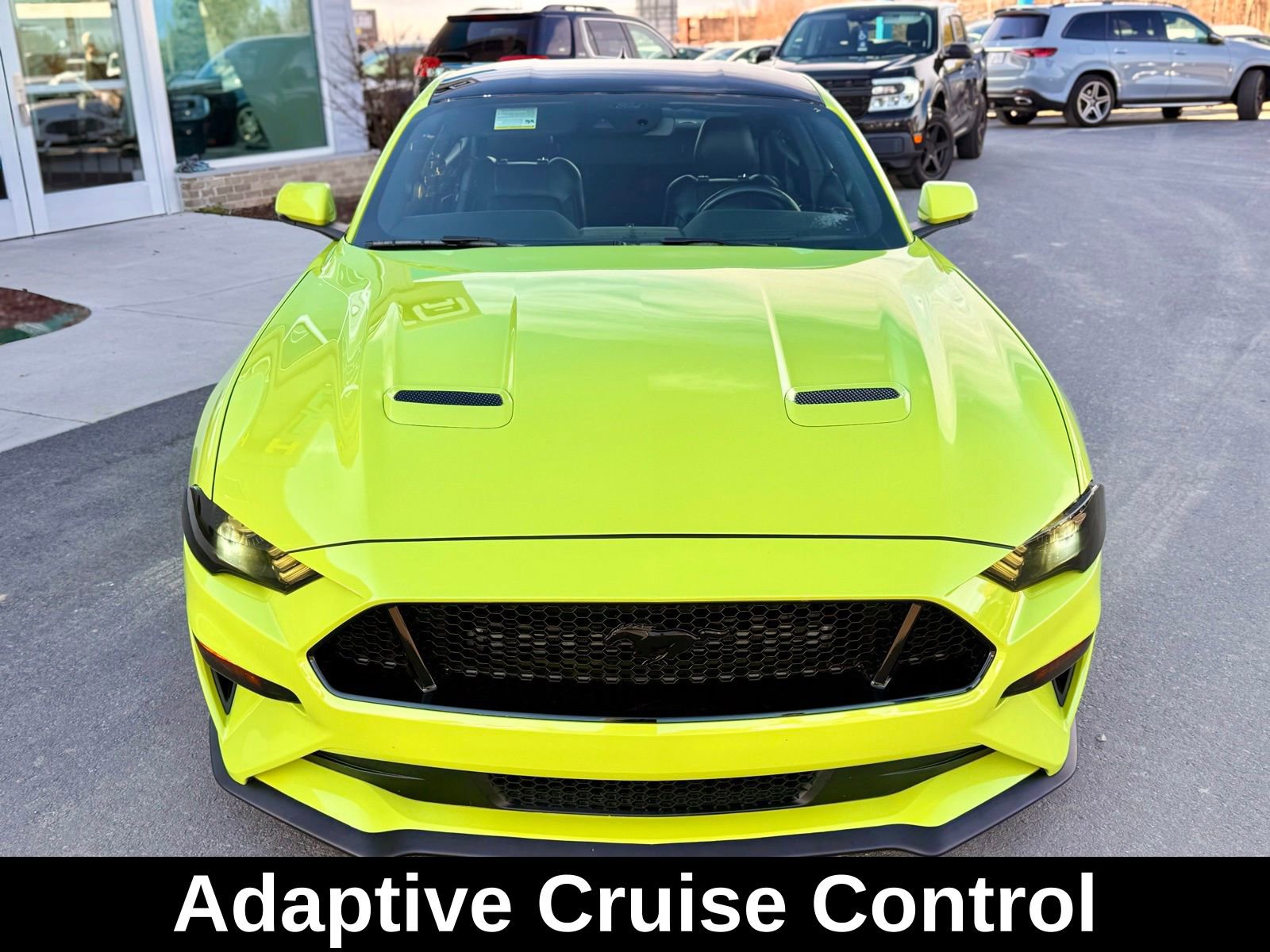 Used 2020 Ford Mustang GT Premium w/ Equipment Group 401A image 10