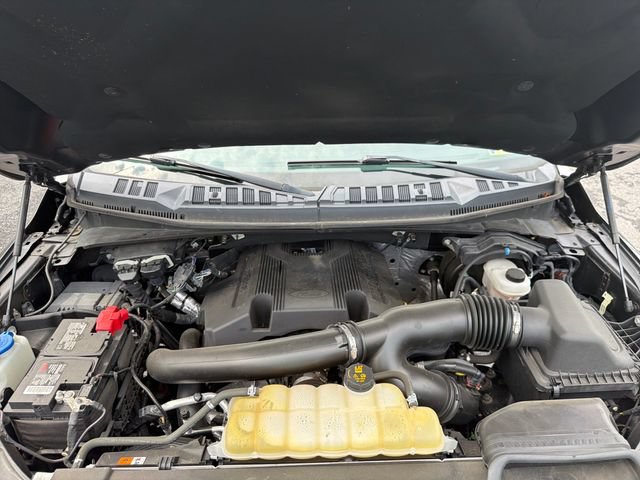 Used 2019 Ford F150 XLT w/ Equipment Group 302A Luxury AWD/4WD image 25