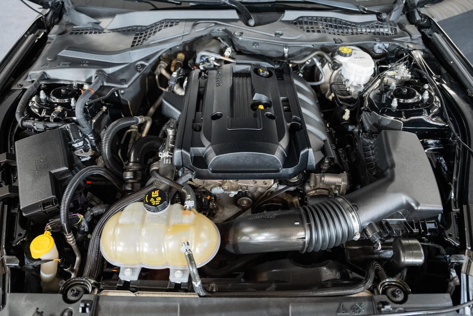 Used 2018 Ford Mustang Coupe RWD image 19