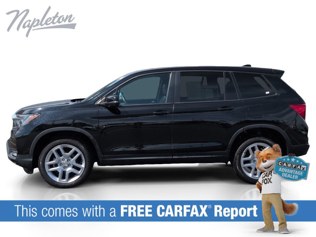 Used 2025 Honda Passport EX-L image 2