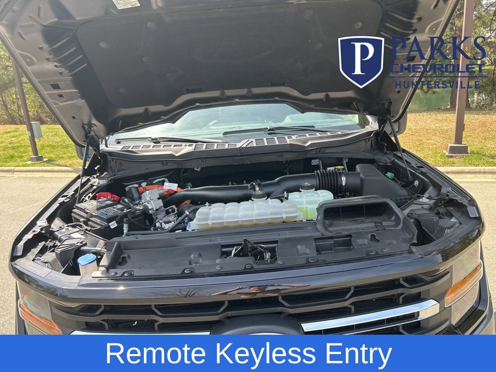 Used 2025 Ford F150 XLT w/ Equipment Group 301A Standard image 3