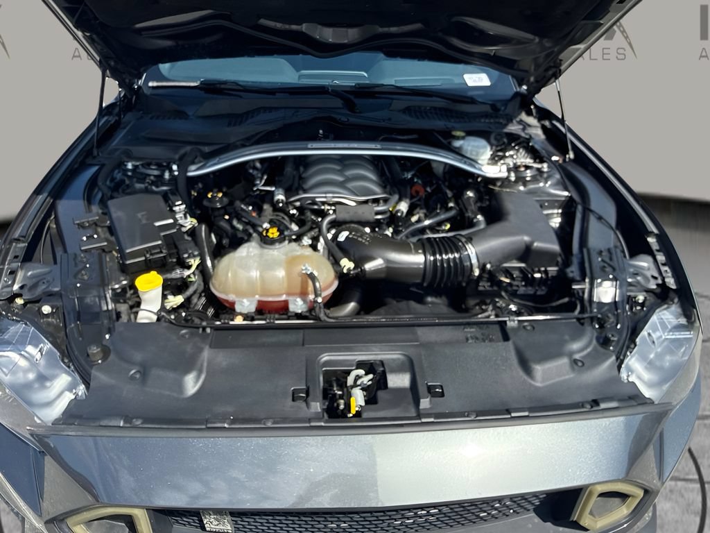 Used 2019 Ford Mustang GT w/ GT Performance Package RWD image 17