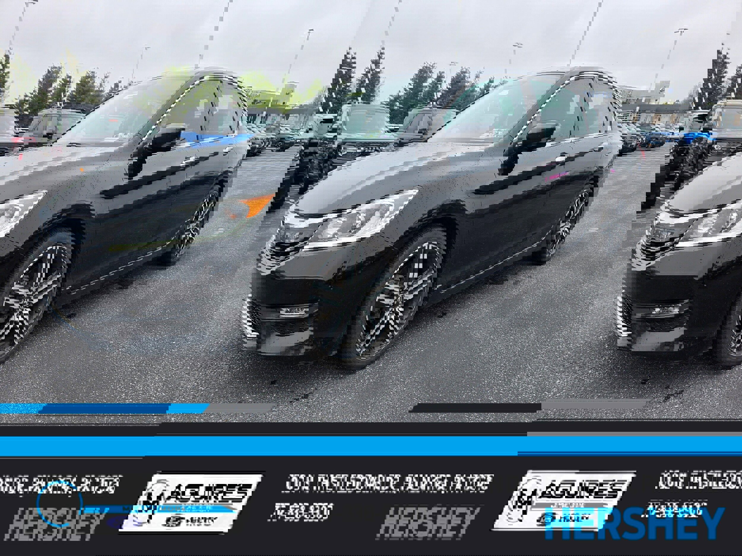 Used 2017 Honda Accord Sport Special Edition image 1