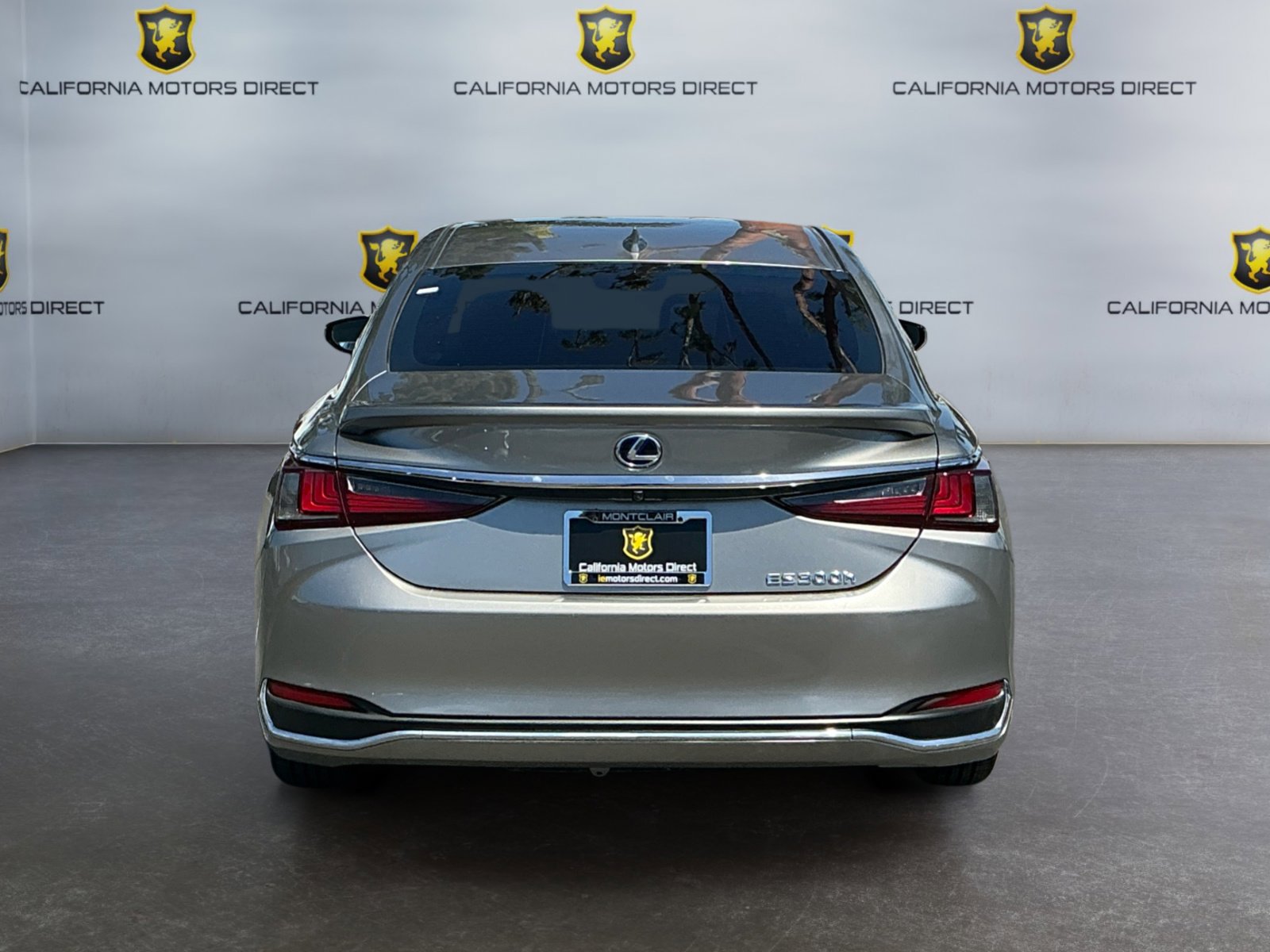 Used 2021 Lexus ES 300h w/ Accessory Package 2 FWD image 4