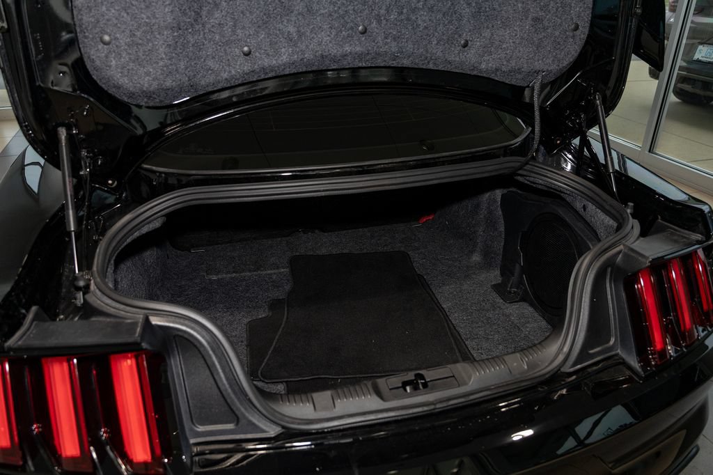Used 2019 Ford Mustang Shelby GT350R w/ GT350R Equipment Group 920A RWD image 15