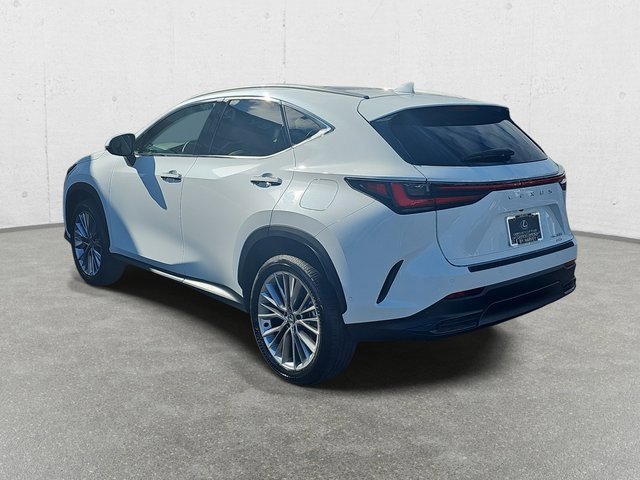 New 2026 Lexus NX 350 AWD w/ Accessory Package (2T) image 7