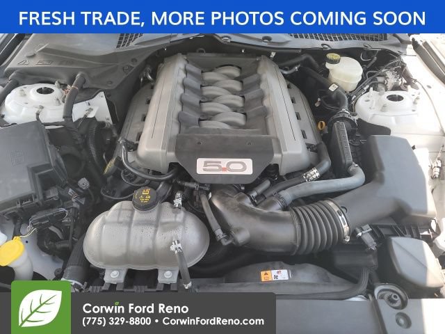 Used 2015 Ford Mustang GT Premium w/ Enhanced Security Package RWD image 16