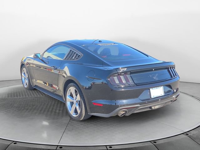Used 2019 Ford Mustang Premium w/ Equipment Group 201A image 3
