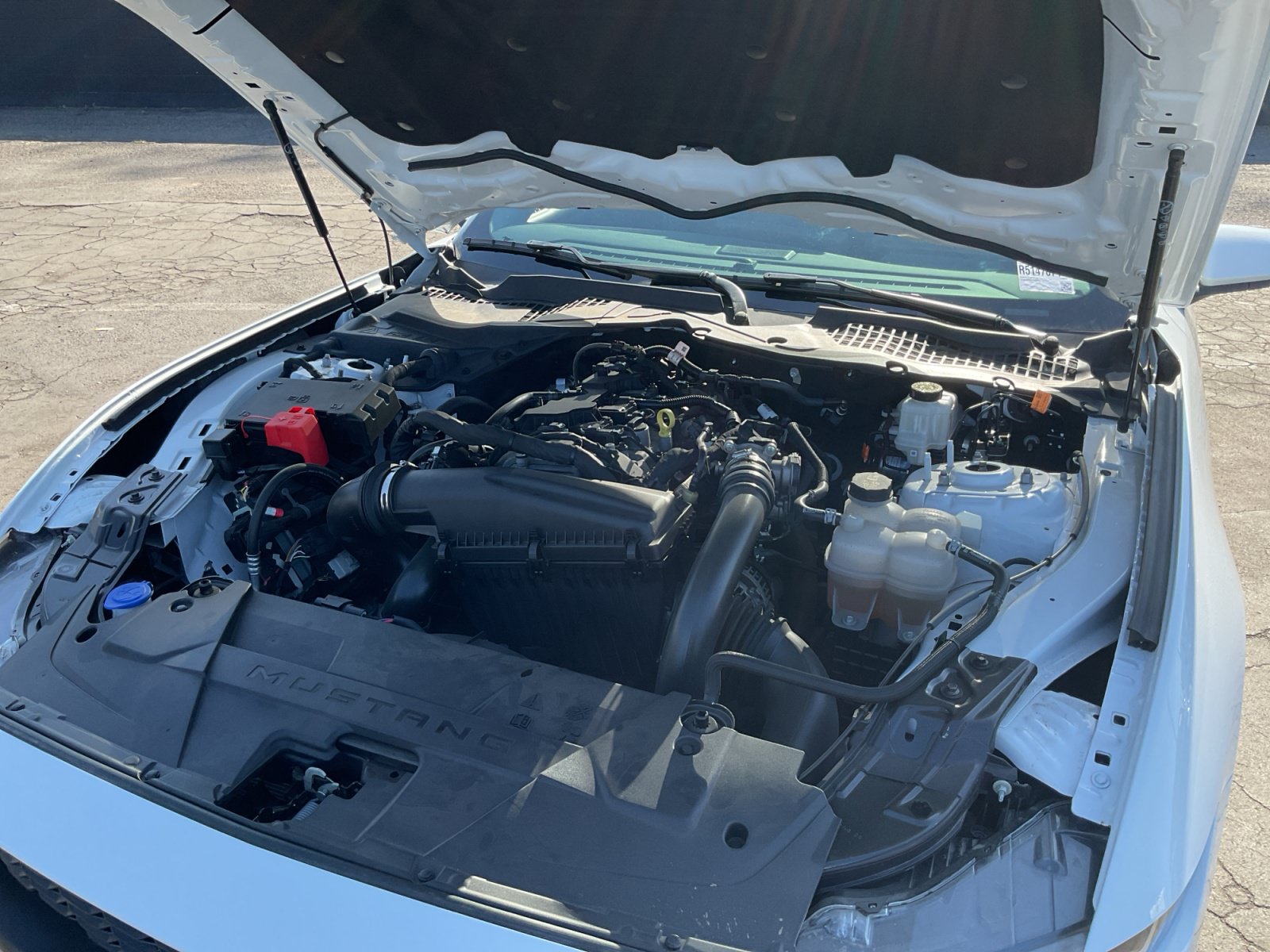 Used 2024 Ford Mustang Coupe RWD image 23