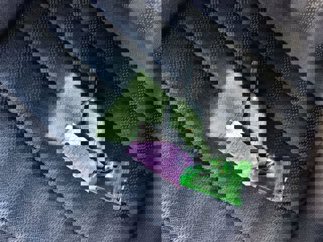 Used 2024 Volkswagen Jetta Sport image 21