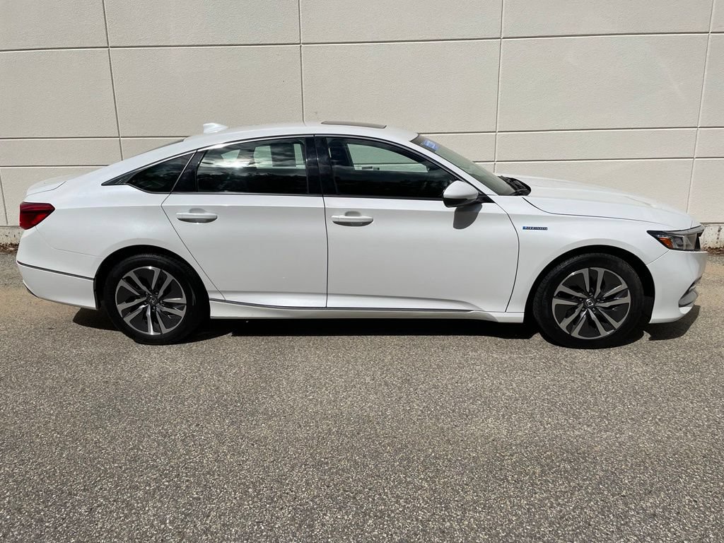 Certified 2019 Honda Accord EX-L image 5