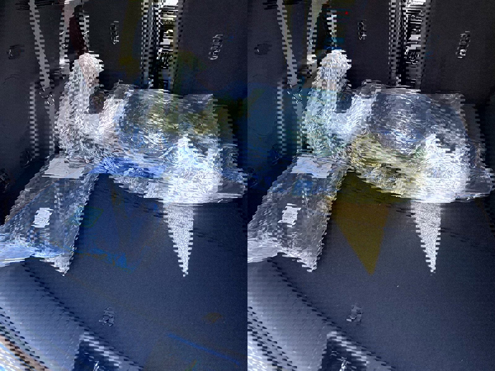 New 2025 Kia Sorento SX image 39