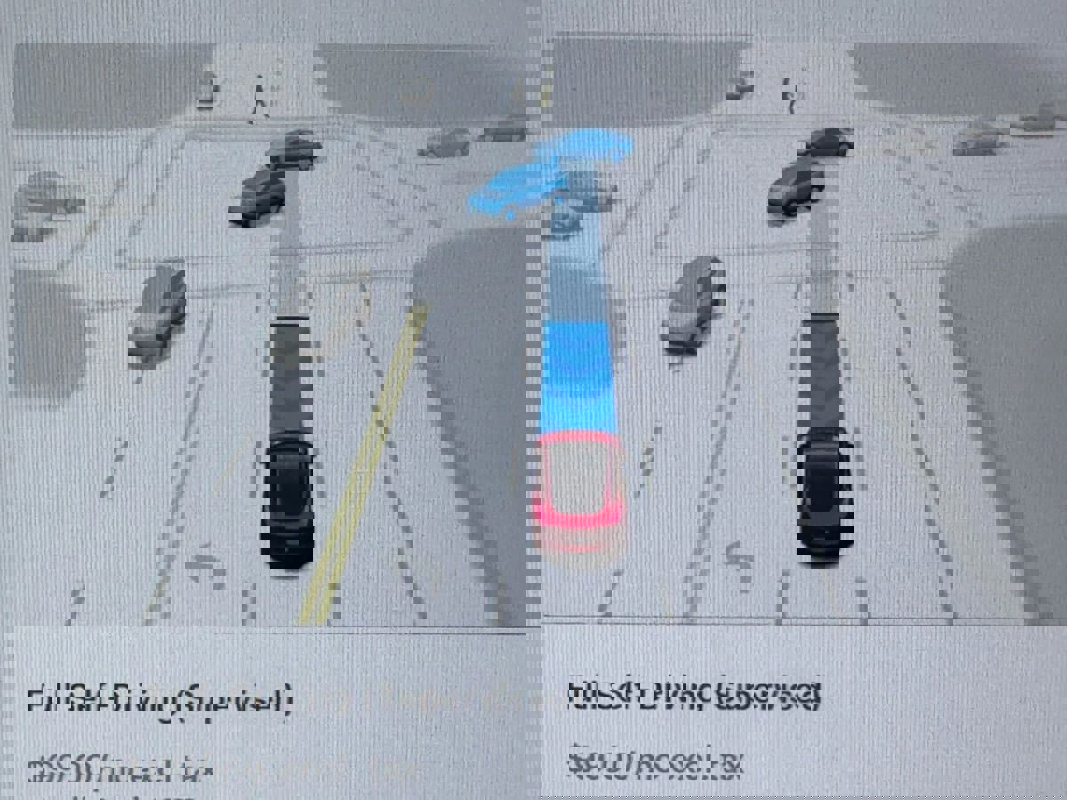 Used 2025 Tesla Model Y Long Range image 23