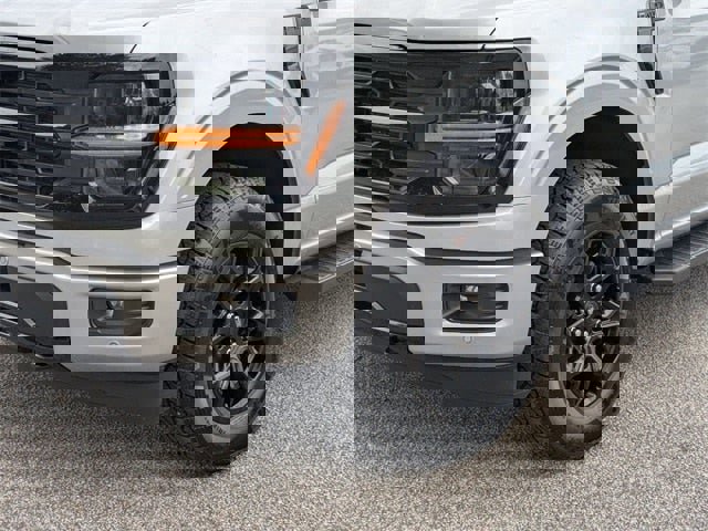 New 2025 Ford F150 XLT w/ Equipment Group 302A MID image 9