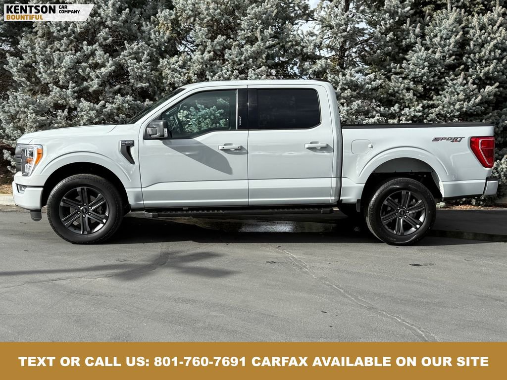 Used 2023 Ford F150 XLT w/ Equipment Group 302A High image 4