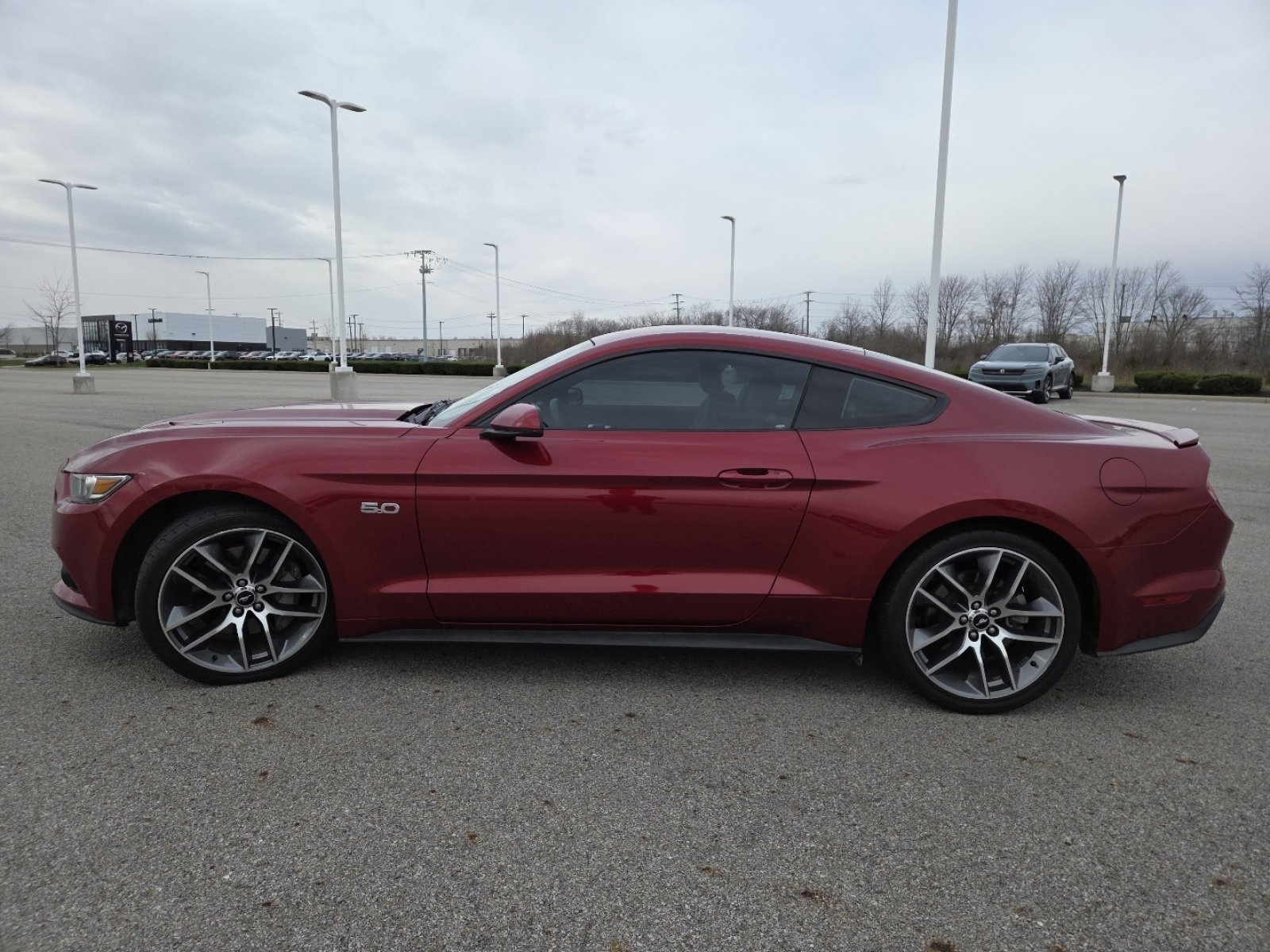 Used 2016 Ford Mustang GT Premium w/ Equipment Group 401A image 14