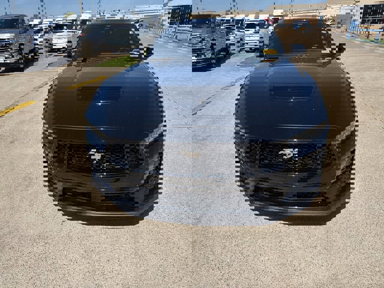 Used 2024 Ford Mustang GT Premium image 2