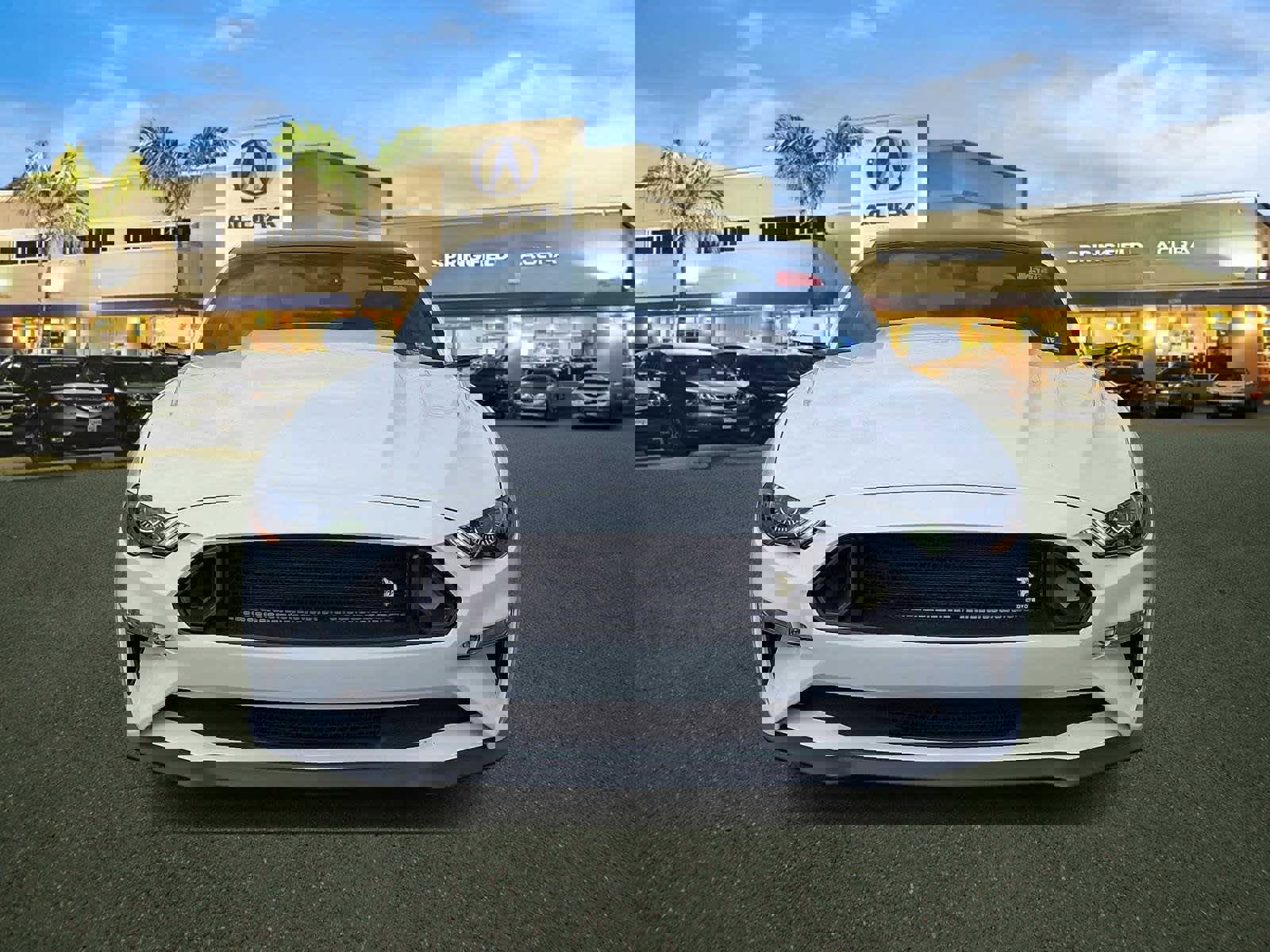 Used 2019 Ford Mustang GT Premium w/ GT Performance Package image 2