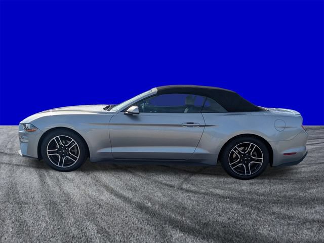 Used 2021 Ford Mustang Premium RWD image 7