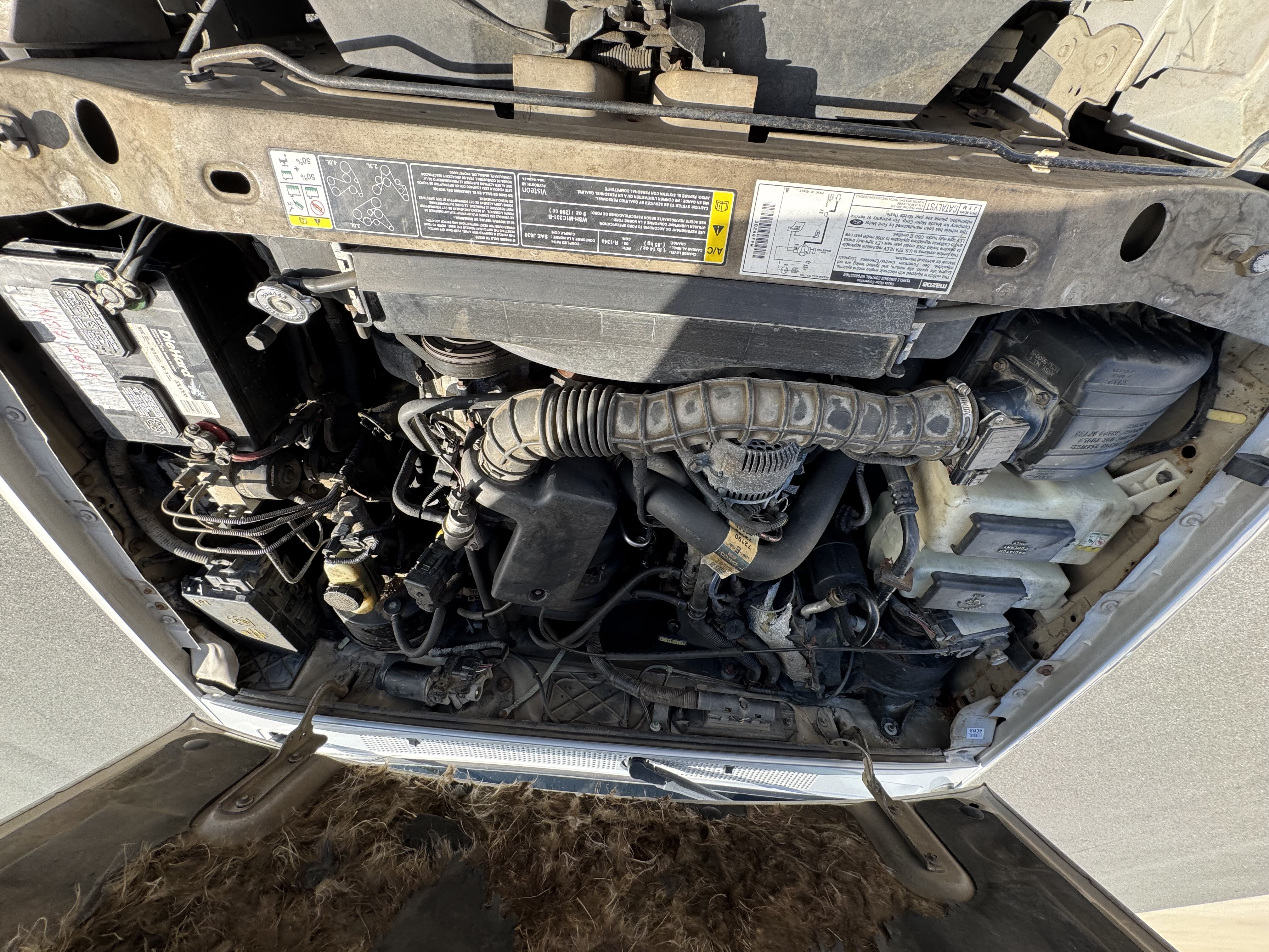 Used 2002 MAZDA B-Series Pickup 2WD Cab Plus B3000 image 50