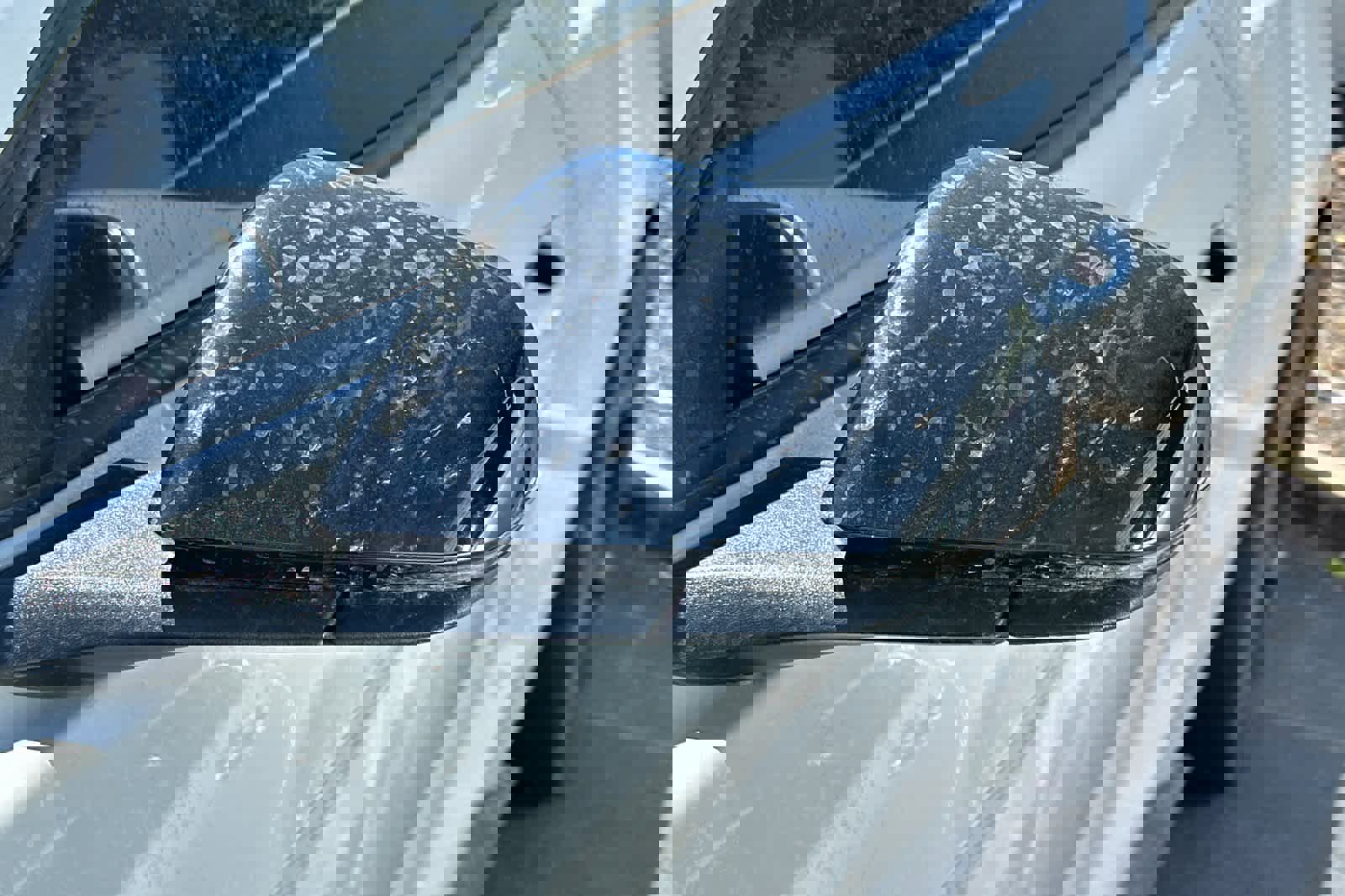 Used 2016 Ford Mustang Shelby GT350 w/ Technology Package RWD image 21