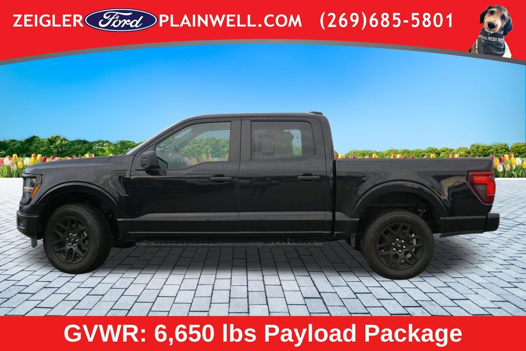 Used 2024 Ford F150 STX w/ STX Black Appearance Package AWD/4WD image 2