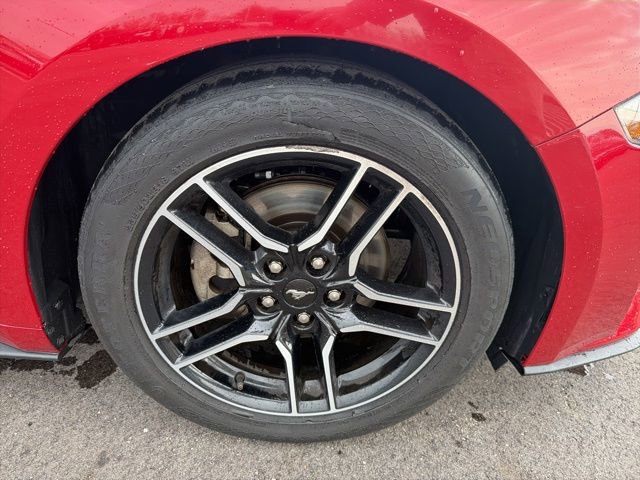 Used 2021 Ford Mustang EcoBoost w/ Equipment Group 101A image 3