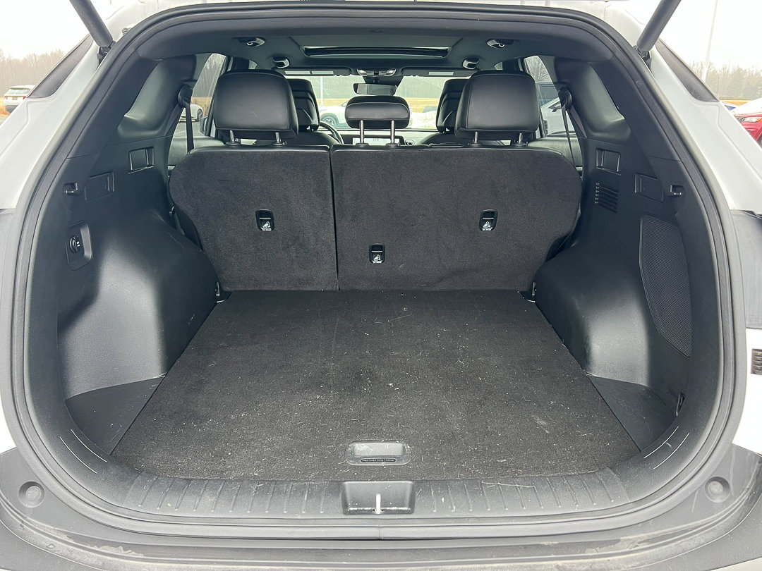 Used 2024 Kia Sportage X-Pro Prestige image 5